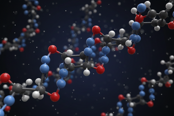 The Peptide Characteristics and Properties